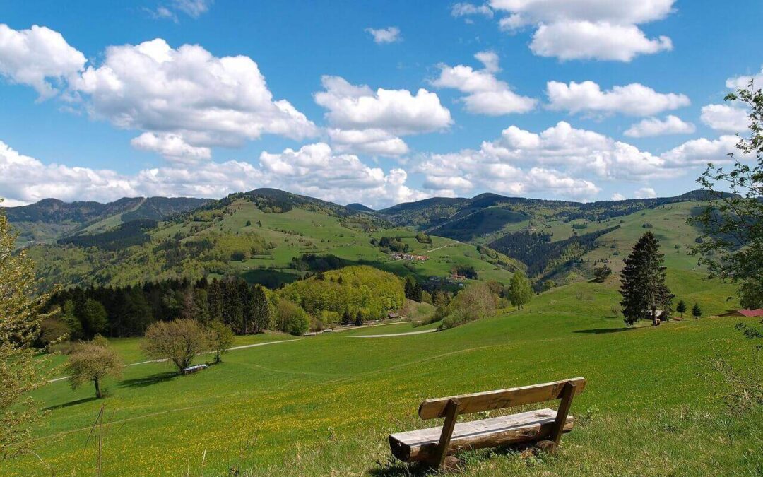 Klettern im Schwarzwald und gute Klettergebiete im Überblick